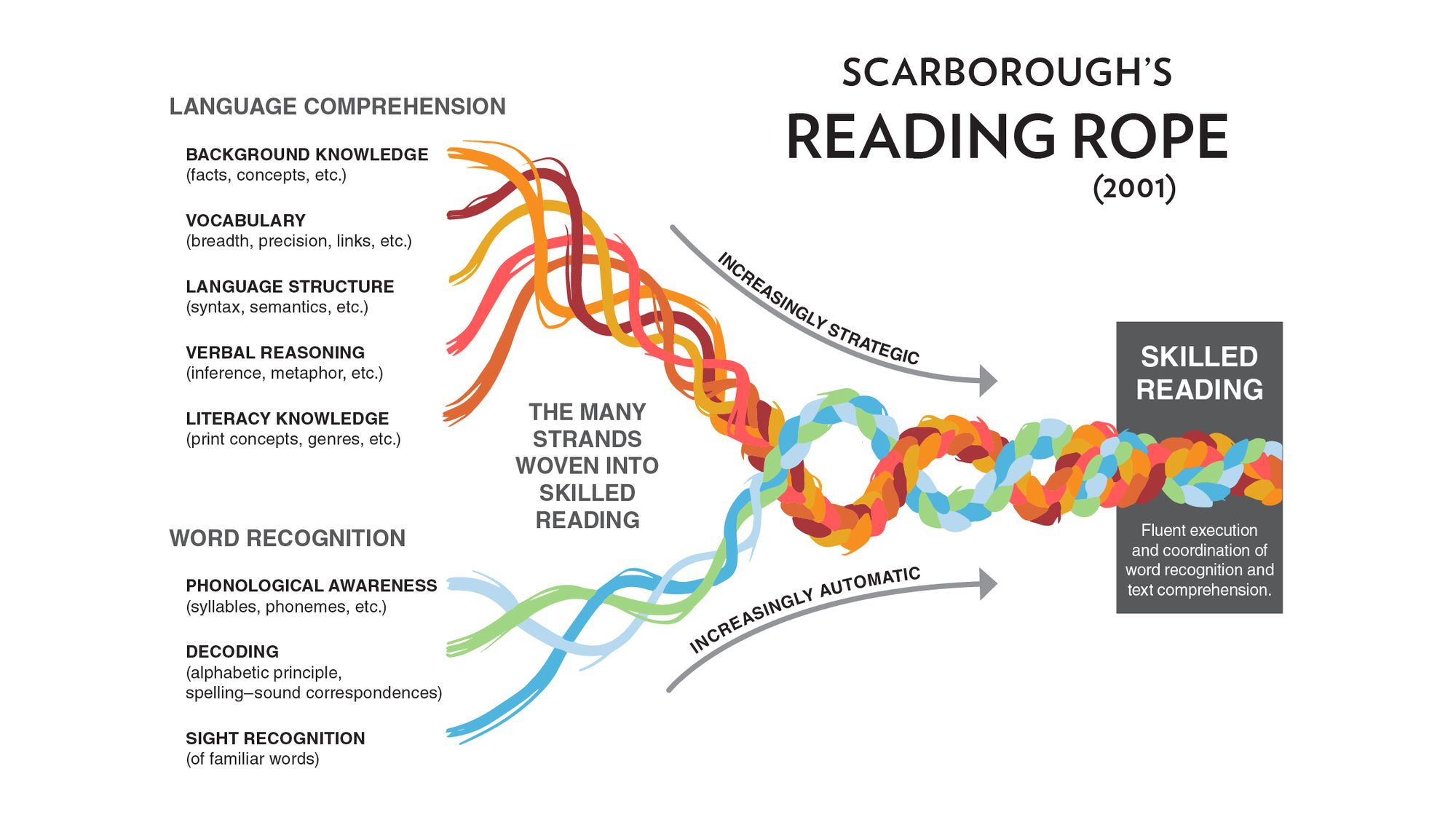 Scarborough S Reading Rope Handout   Scarboroughs Reading Rope Social Media 