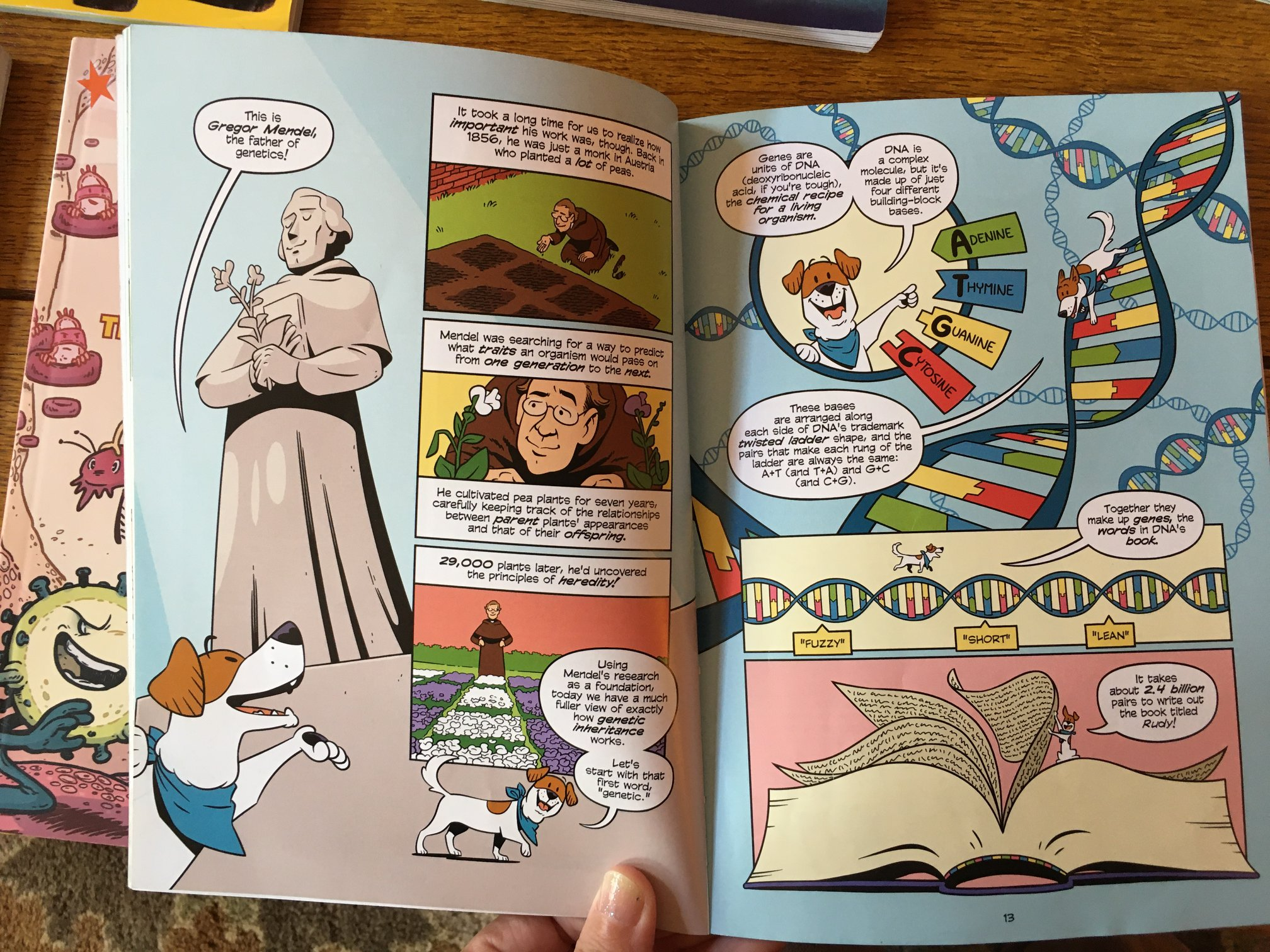 Science Comics Dogs inside pages