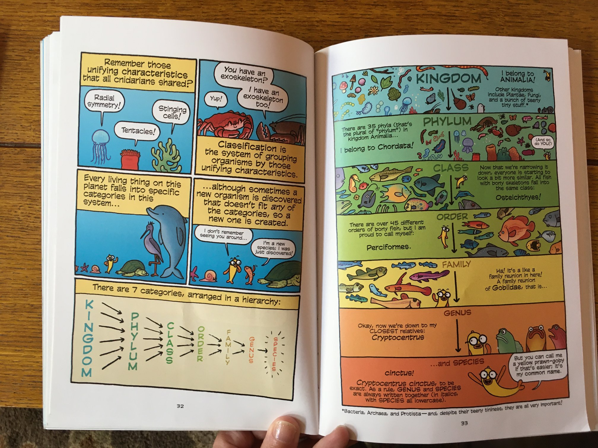 Science Comics Coral Reefs inside pages