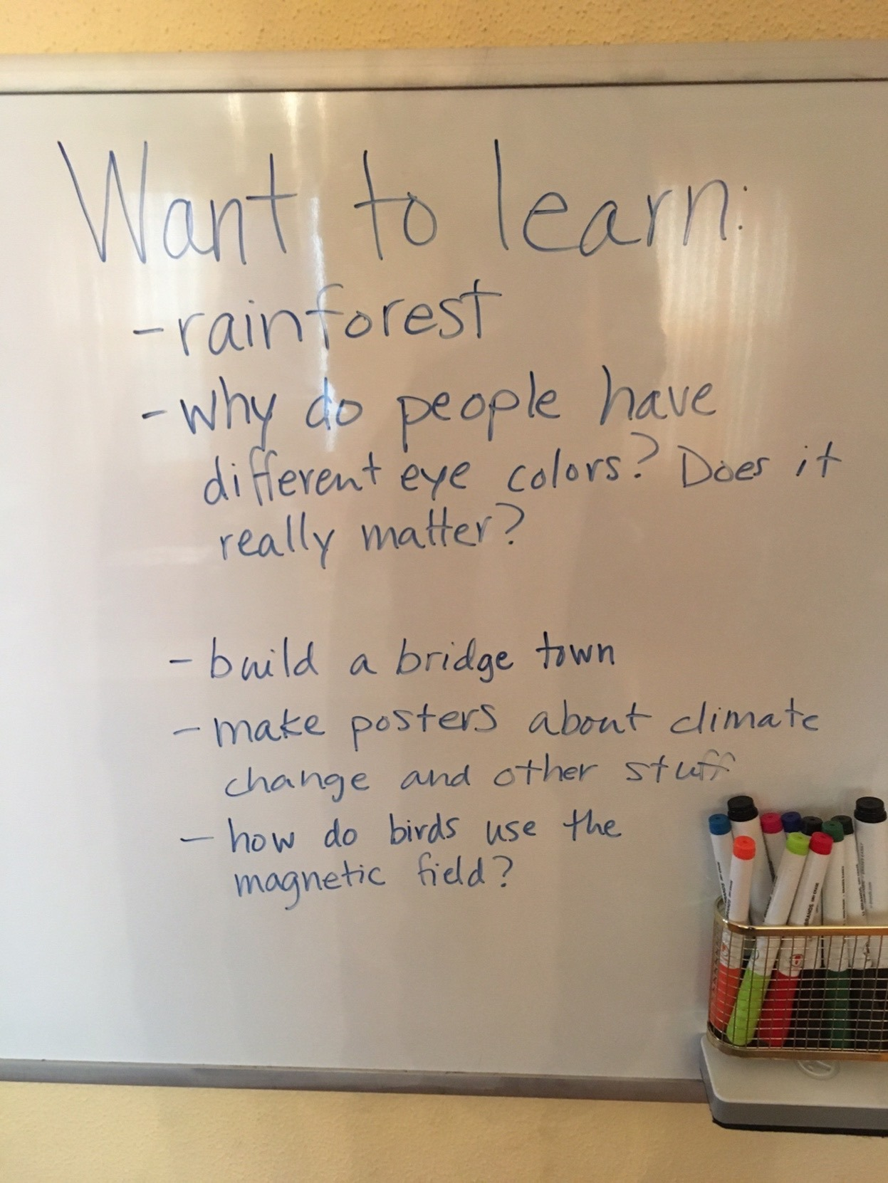 Written on a whiteboard: "Want to learn: - rainforest -why do people have different eye colors? Does it really matter? - build a bridge town - make posters about climate change and other stuff - how do birds use the magnetic field?"