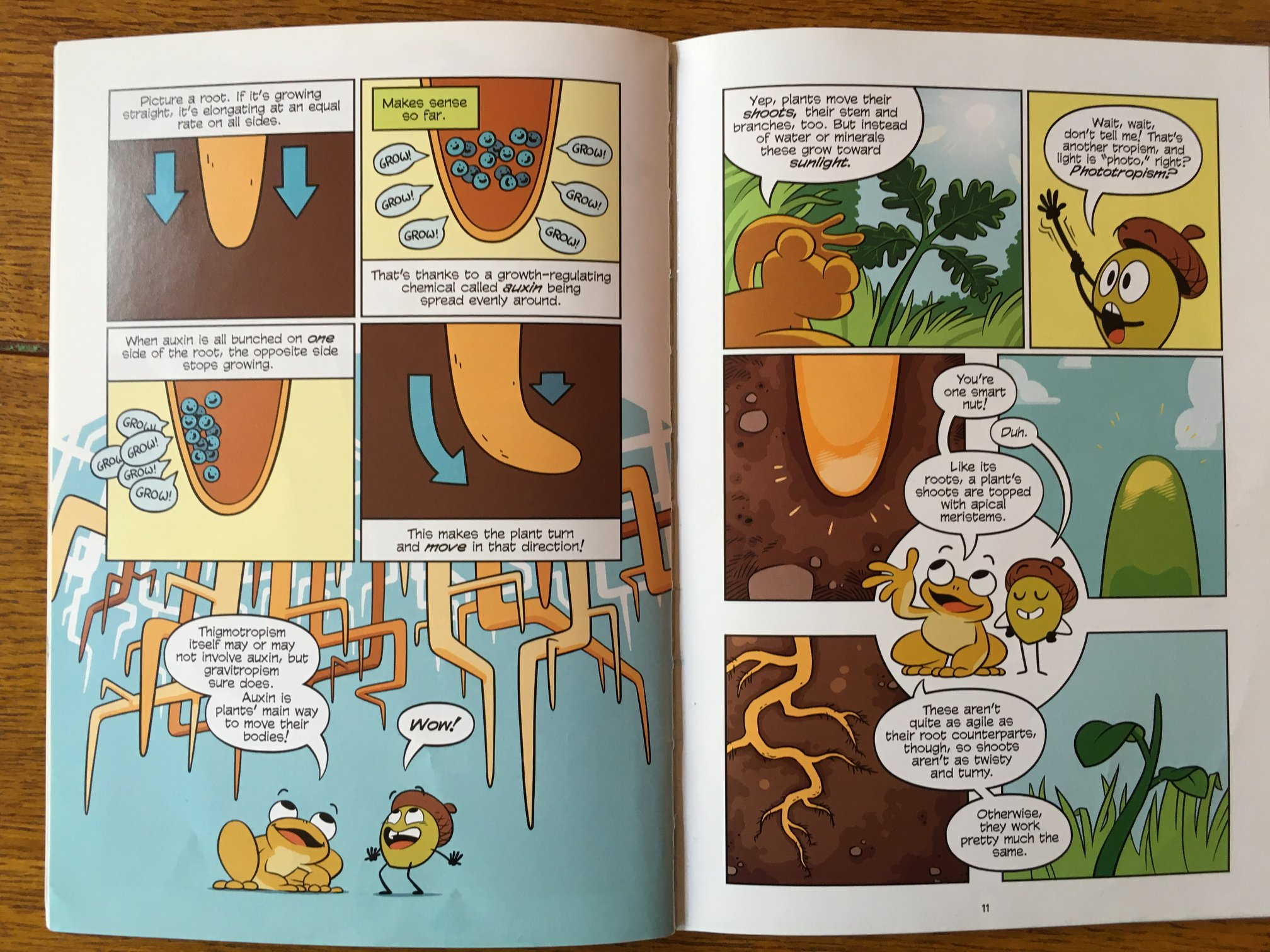 Science Comics Trees inside pages