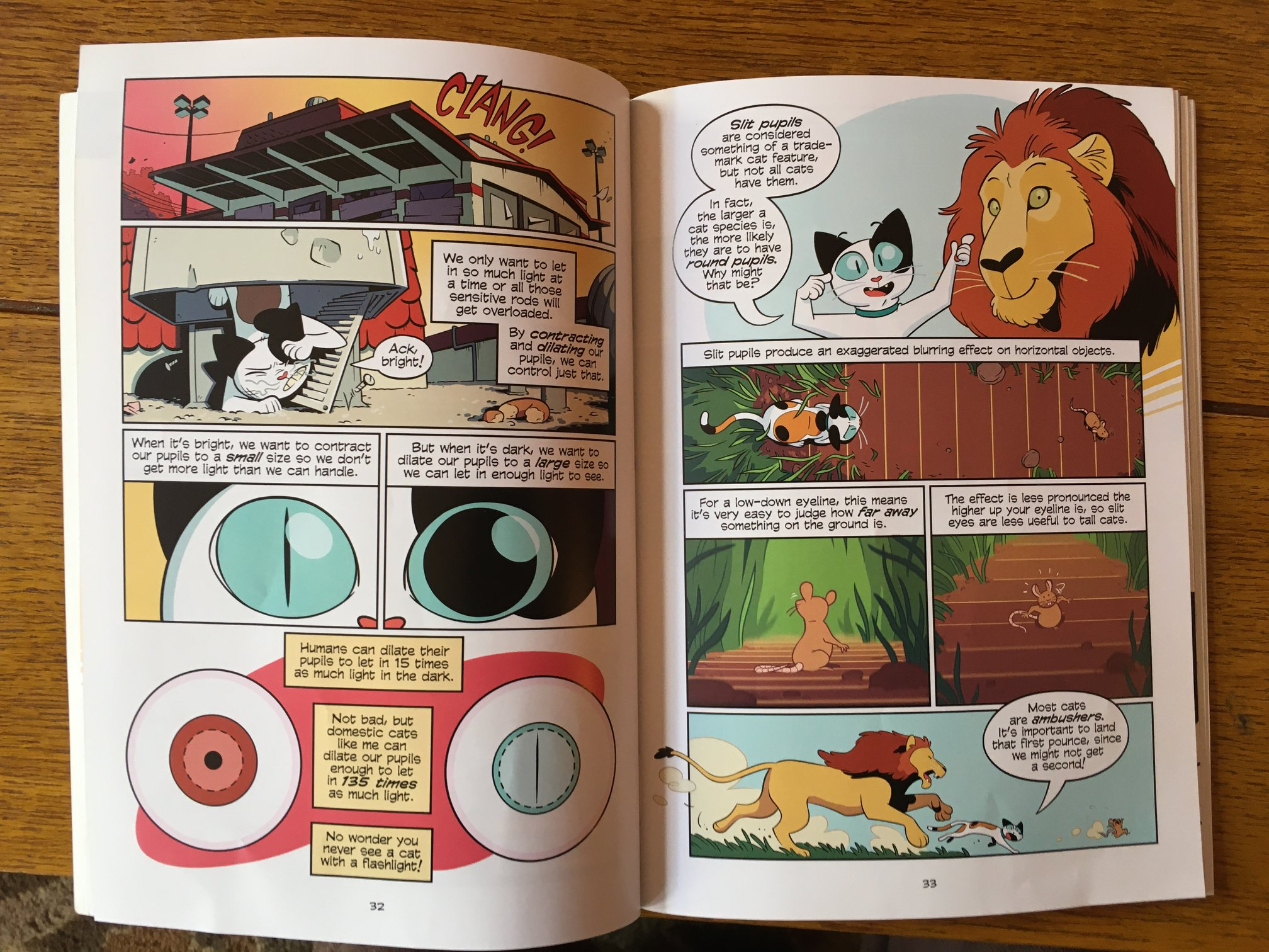 Science Comics Cats inside pages
