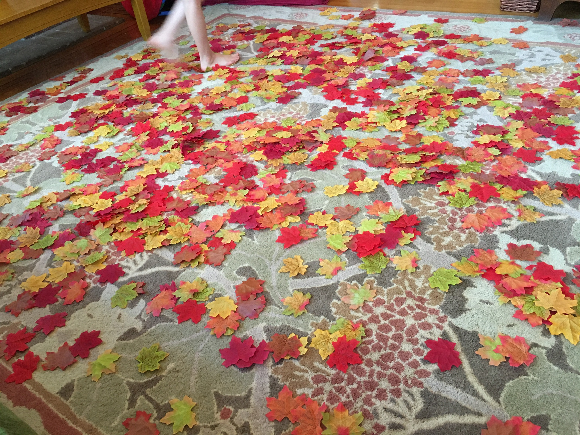 Fake fall maple leaves made of fabric in red, orange, yellow, green, and brown, strewn across our living room floor.