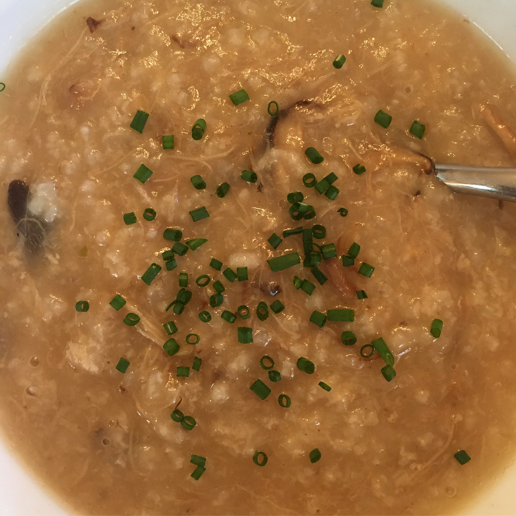 A brown rice porridge is in a bowl, with bits of shredded pork, mushrooms, and topped with chives.