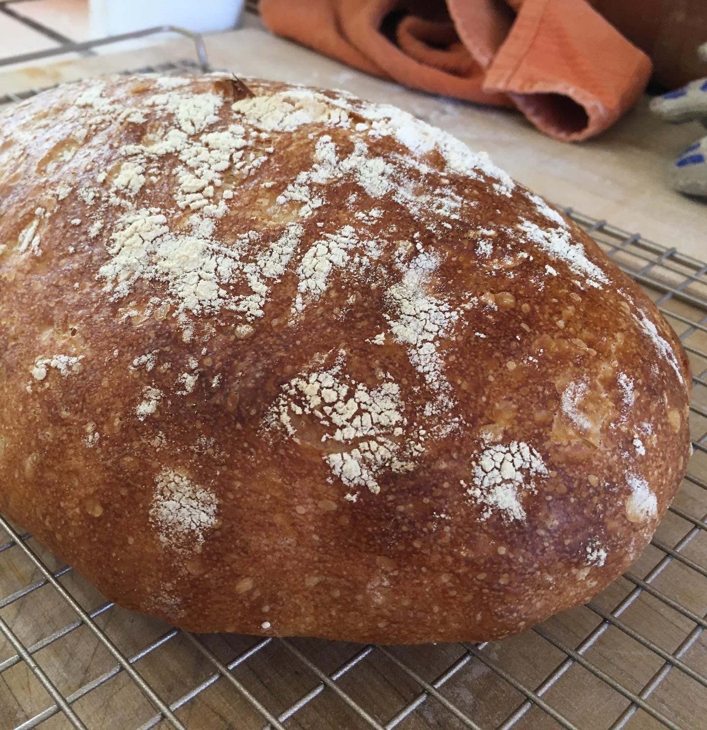 A rich, brown crusted loaf of ciabatta, dusted with flour.