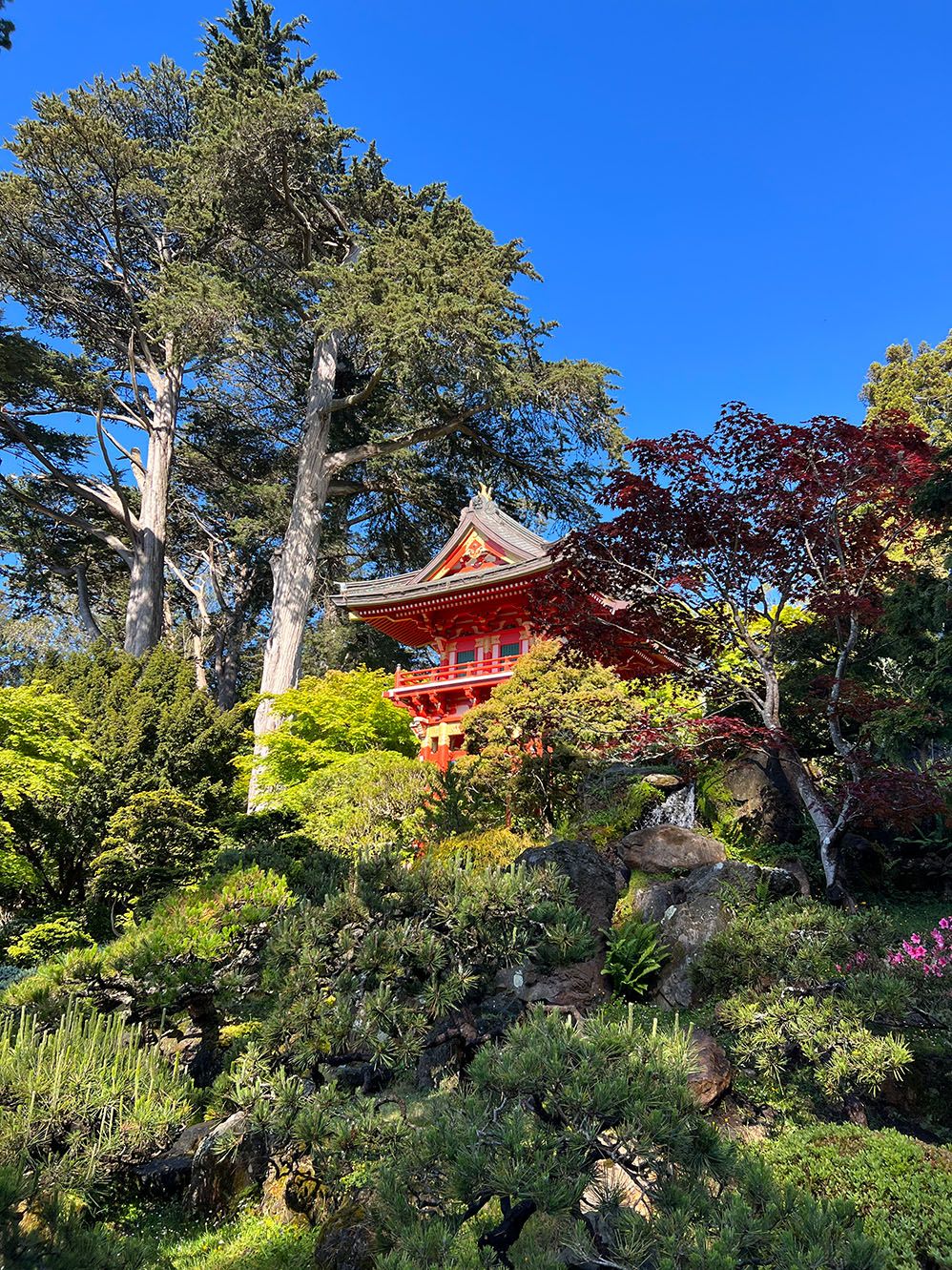 A trip to the Japanese Tea Garden