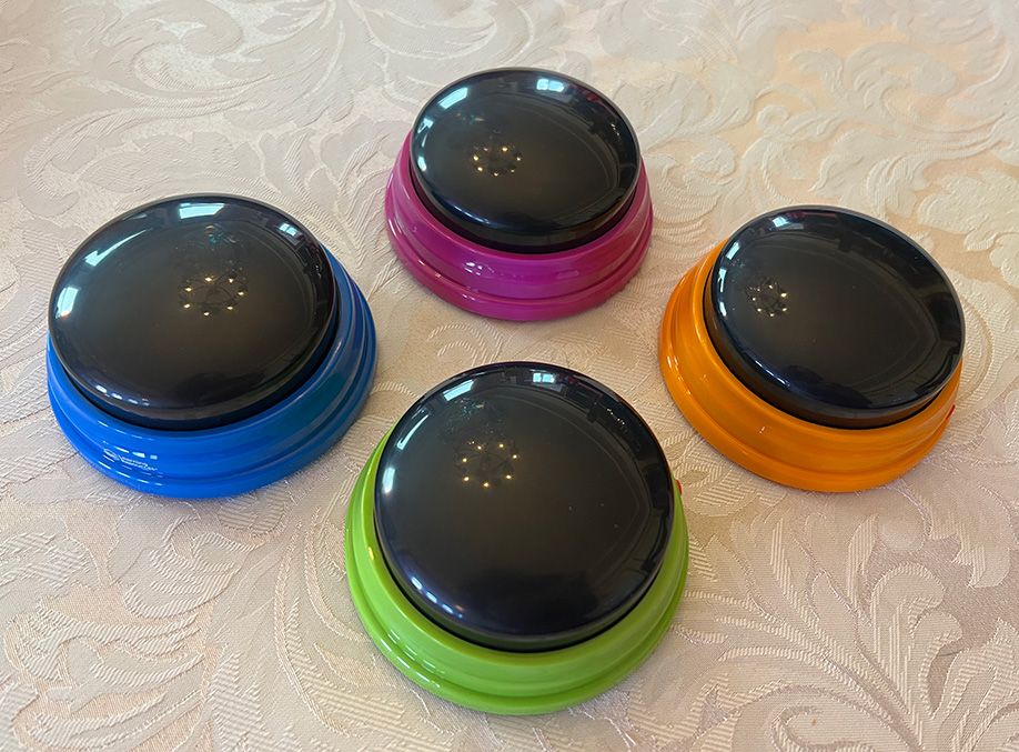 Four round plastic buzzers, in four colors: blue, purple, green, and orange.