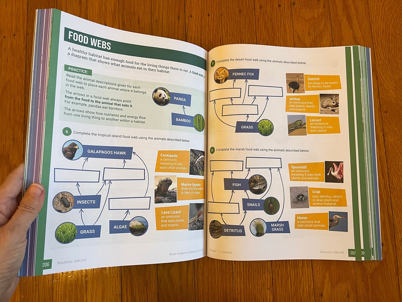 Full-color workbook pages with blank slots for students to fill in food webs.