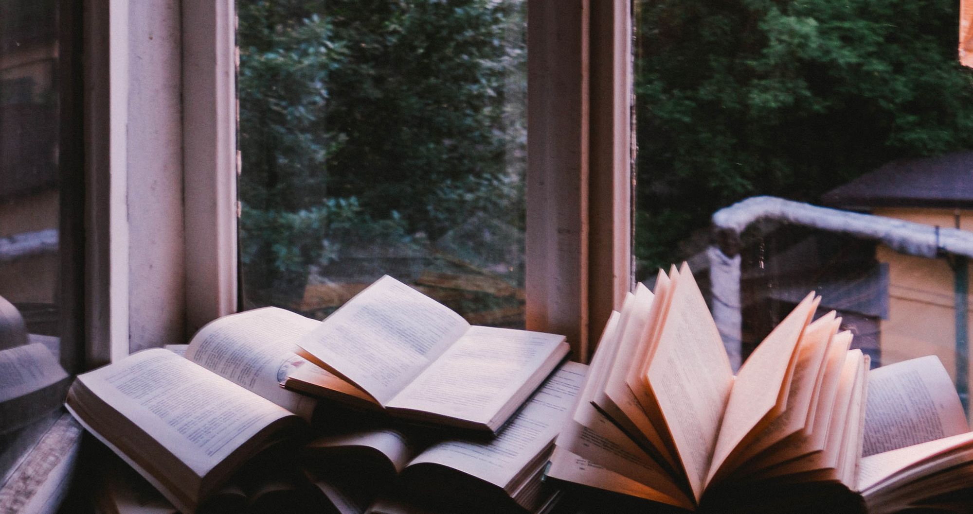 Open books in front of a window with a view of evergreen trees
