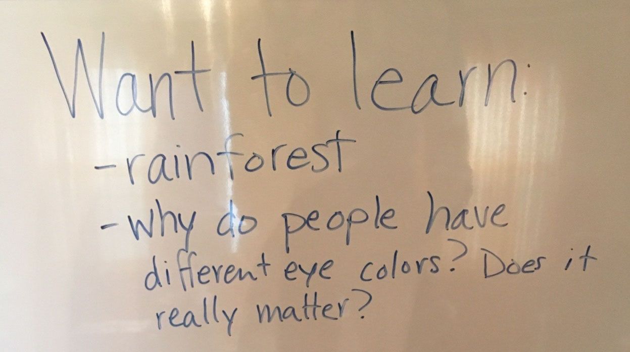 Written on a whiteboard: "Want to learn: - rainforest -why do people have different eye colors? Does it really matter?"