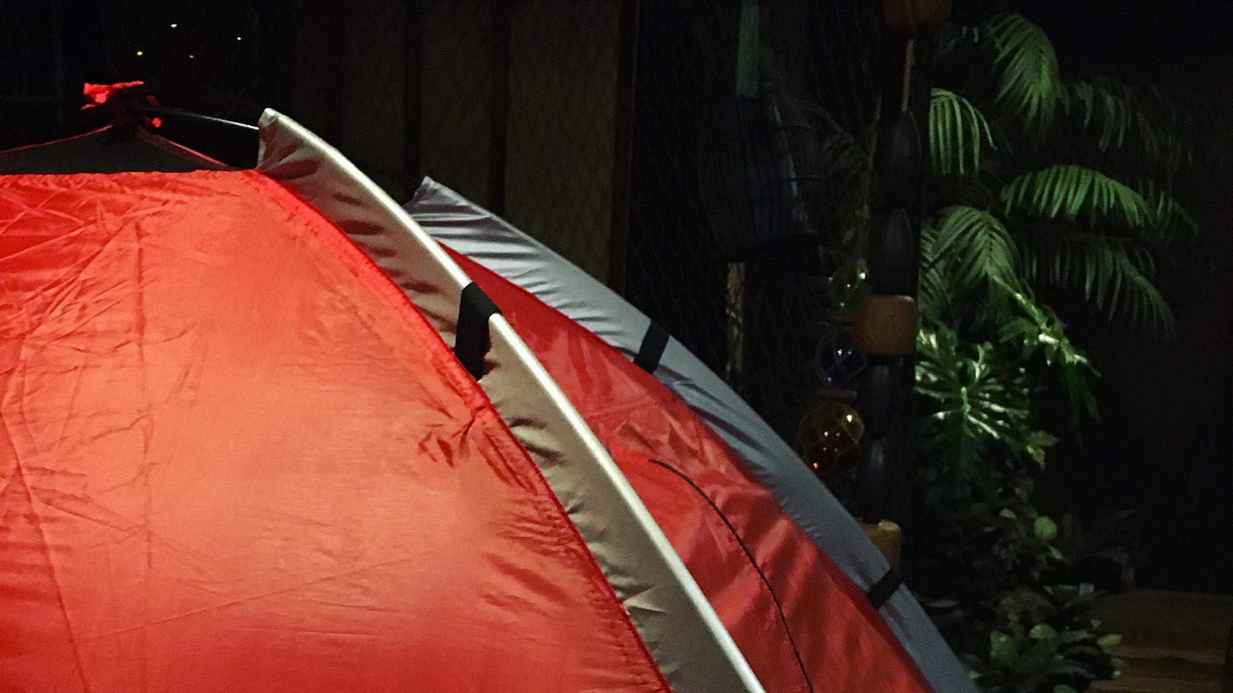 Tent in a dark room decorated with artificial jungle plants