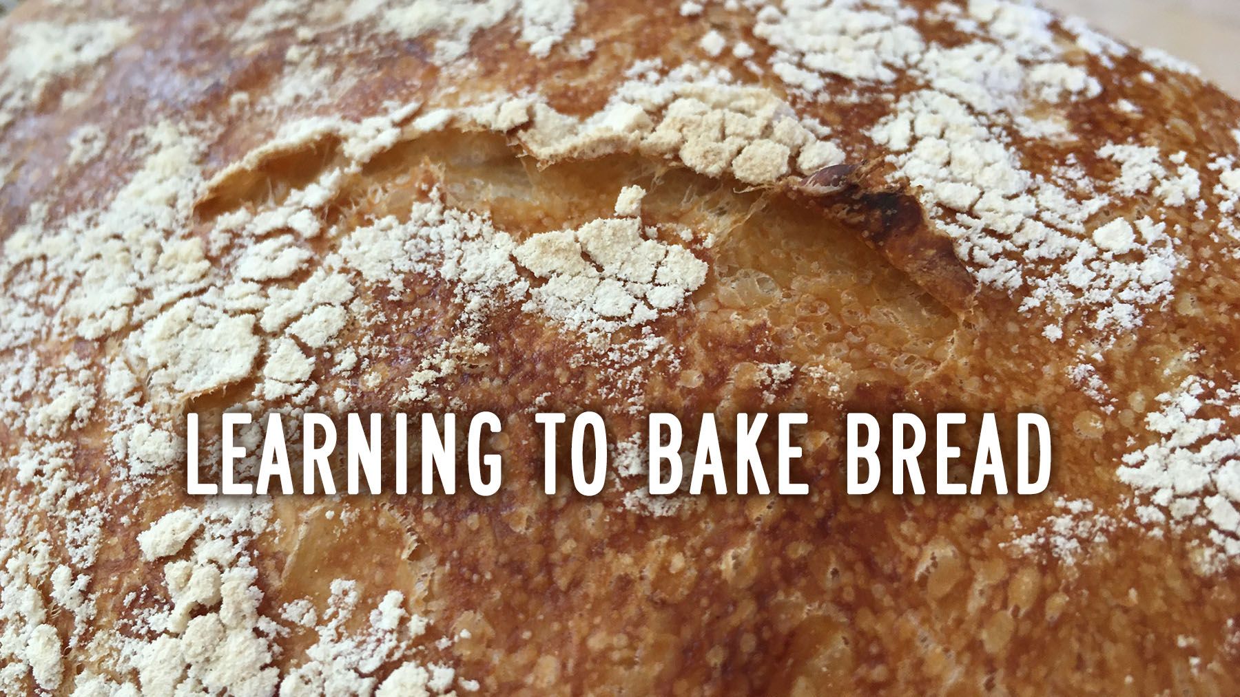 Close-up of a flour-dusted golden crust of a ciabatta loaf, with the words LEARNING TO BAKE BREAD