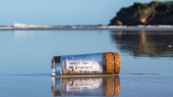 A message in a bottle, washed up on a beach.
